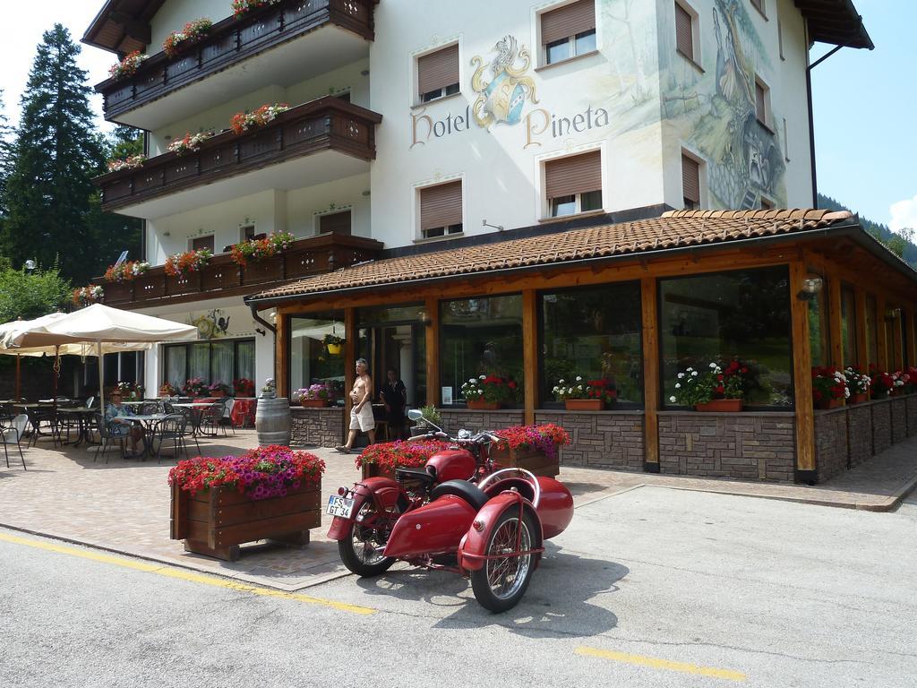 Hotel Pineta Baselga di Pinè Εξωτερικό φωτογραφία